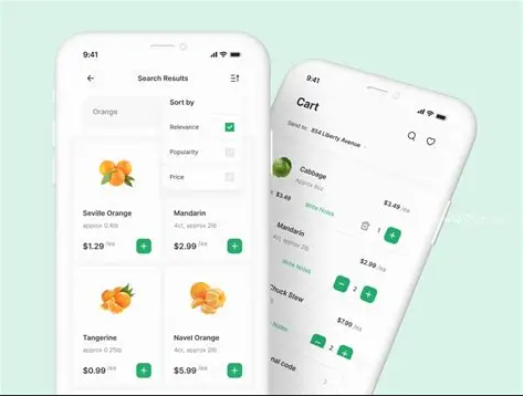 生鲜超市APP开发解析：满足用户需求与市场竞争要素